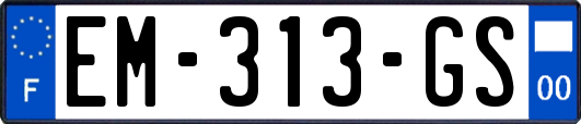 EM-313-GS