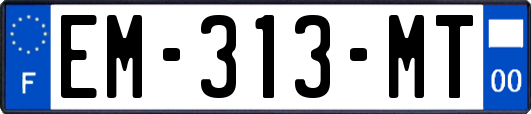 EM-313-MT