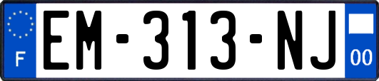 EM-313-NJ