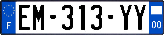 EM-313-YY