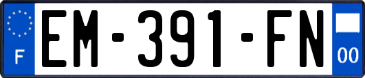 EM-391-FN