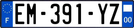 EM-391-YZ