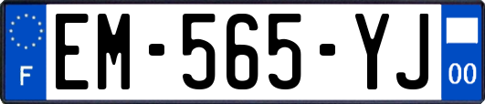 EM-565-YJ