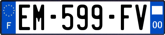 EM-599-FV