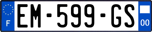 EM-599-GS