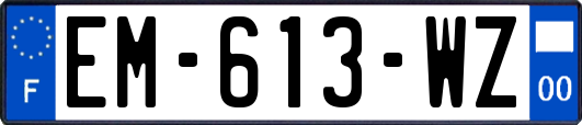 EM-613-WZ