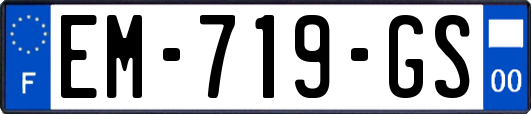 EM-719-GS