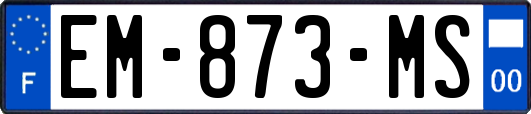 EM-873-MS