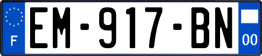 EM-917-BN