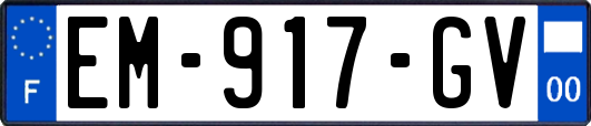 EM-917-GV