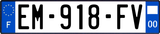 EM-918-FV