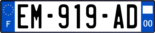 EM-919-AD