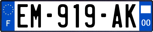 EM-919-AK