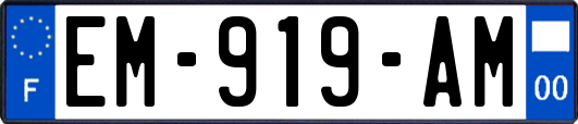 EM-919-AM