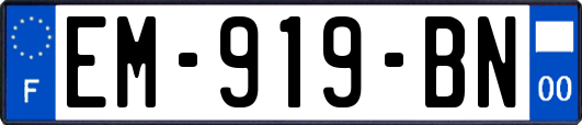 EM-919-BN