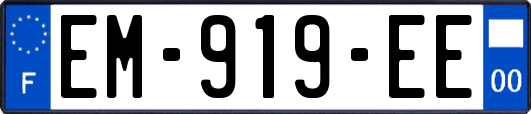 EM-919-EE