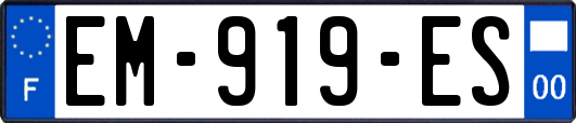 EM-919-ES
