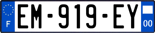 EM-919-EY