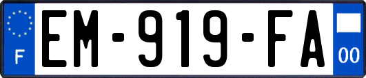 EM-919-FA
