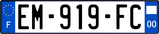 EM-919-FC