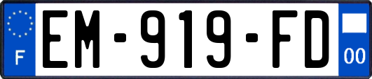 EM-919-FD