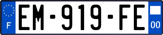 EM-919-FE