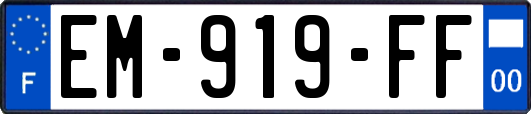 EM-919-FF