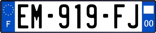 EM-919-FJ