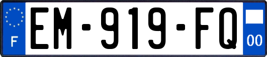 EM-919-FQ