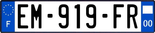EM-919-FR