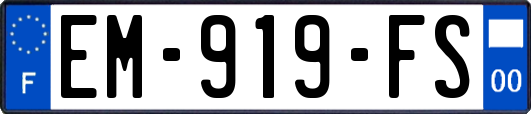 EM-919-FS
