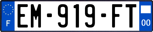EM-919-FT