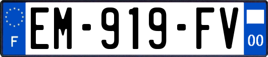 EM-919-FV