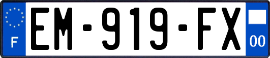 EM-919-FX