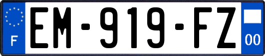 EM-919-FZ