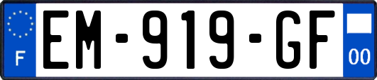 EM-919-GF