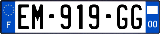 EM-919-GG