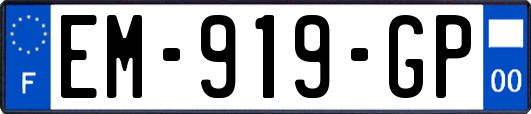 EM-919-GP
