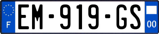 EM-919-GS
