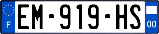 EM-919-HS