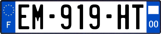 EM-919-HT