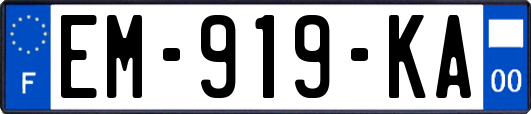 EM-919-KA