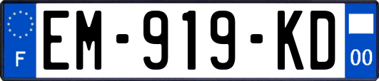 EM-919-KD