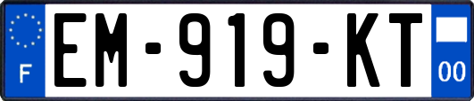 EM-919-KT