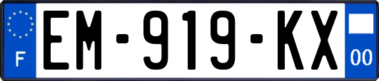 EM-919-KX