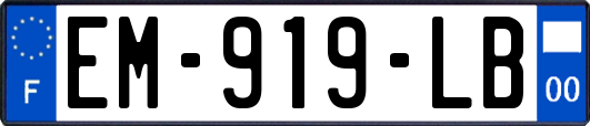 EM-919-LB