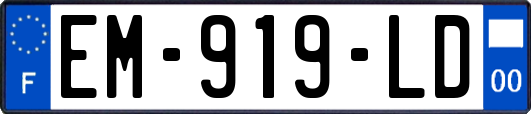 EM-919-LD