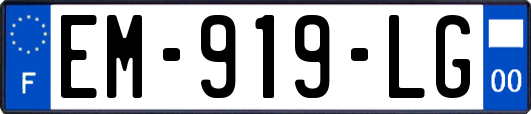 EM-919-LG