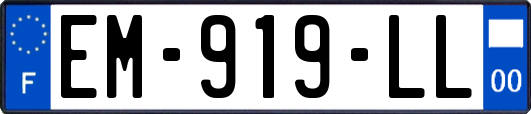 EM-919-LL