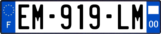 EM-919-LM